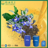 High GLA Bulk Plant Oil Borage Oil with Medical Efficacies